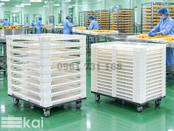 Khay Nhựa Sấy Thực Phẩm, Nông Sản, Dược Phẩm, Thảo Dược Giá Tại Xưởng - Sản Xuất, Giao Hàng Toàn Quốc